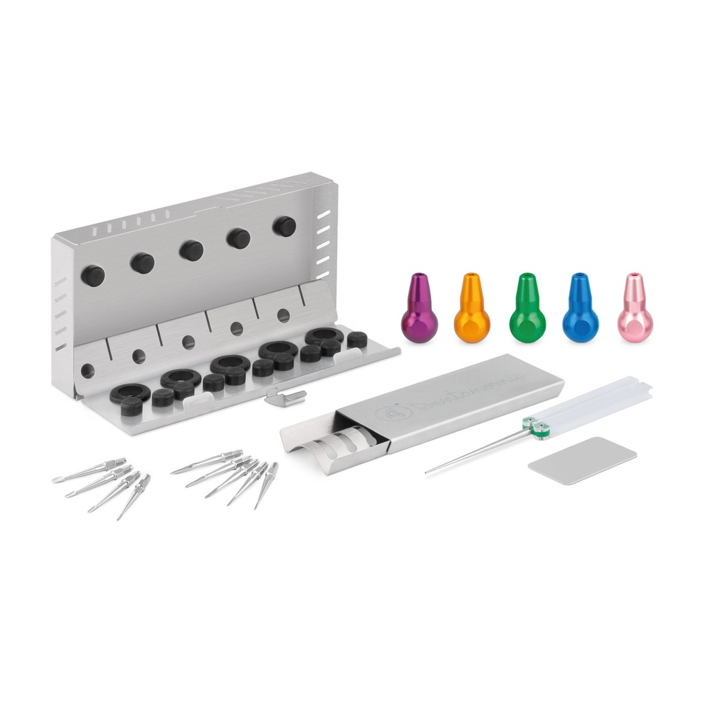 Set DENTANOMIC - or, composé de 5 manches standards (violet, orange, vert, bleu et rose) + jeu de lames élévatrices et luxatrices (9 pièces) + support de rangement + kit de broyage + récipient de stérilisation